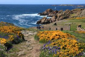 sentier randonnée houat © marc schaffner - morbihan tourisme