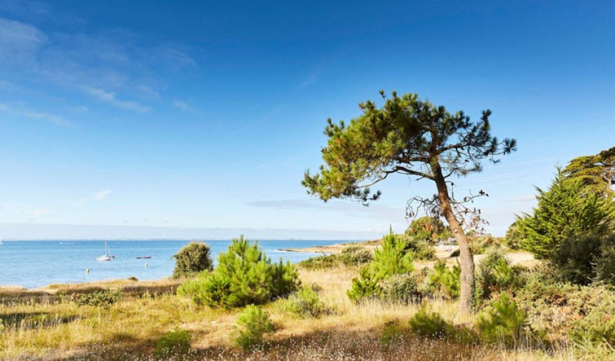 © Alexandre lamoureux