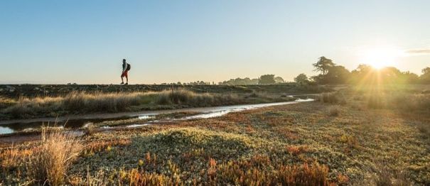 les marais salants de Kervillen