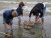 Pêche à la coque en famille à La Trinité sur Mer