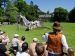 Parc de Branféré 