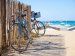 La Trinité sur Mer et ses environs en vélo !