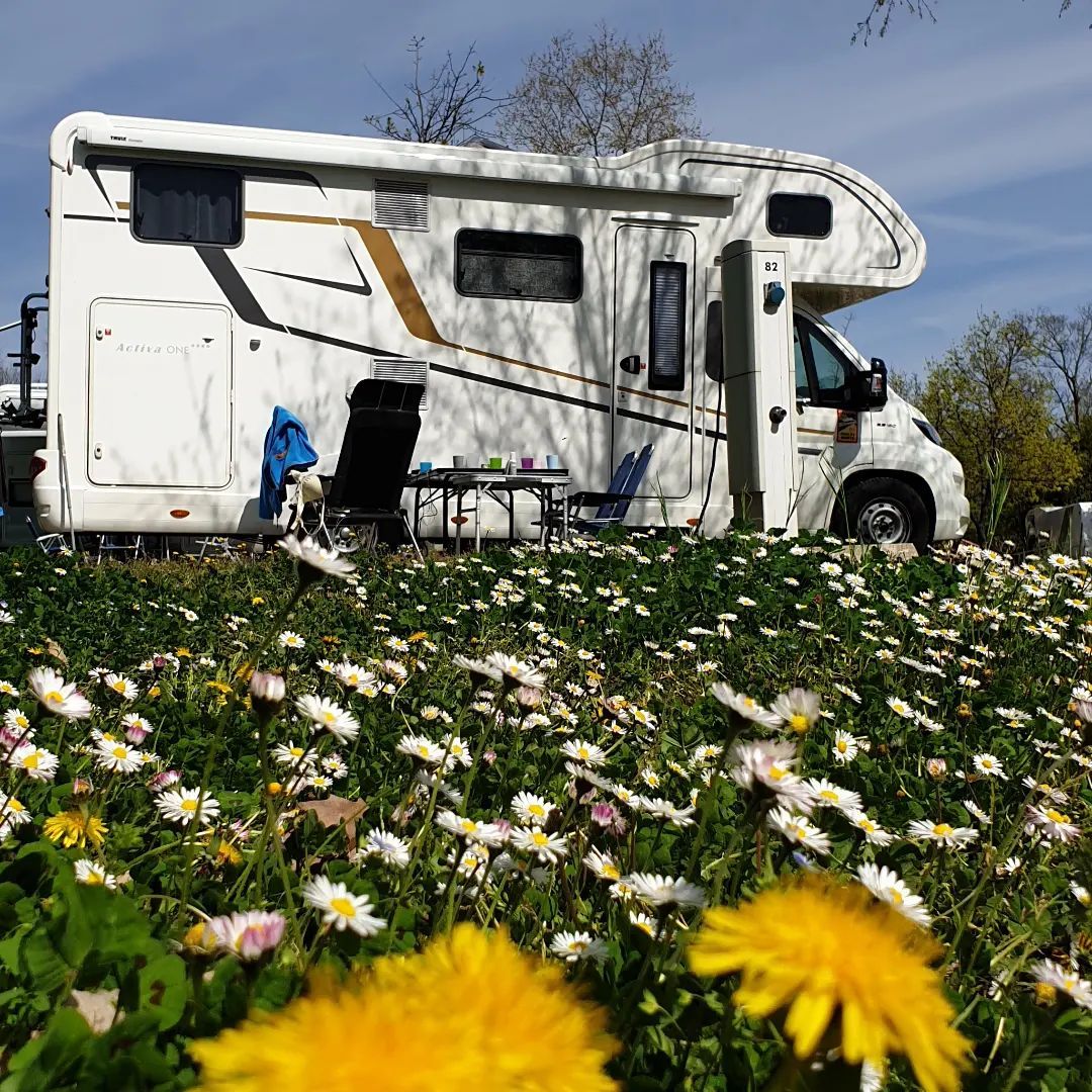 camping-car-camping-trinite.jpg