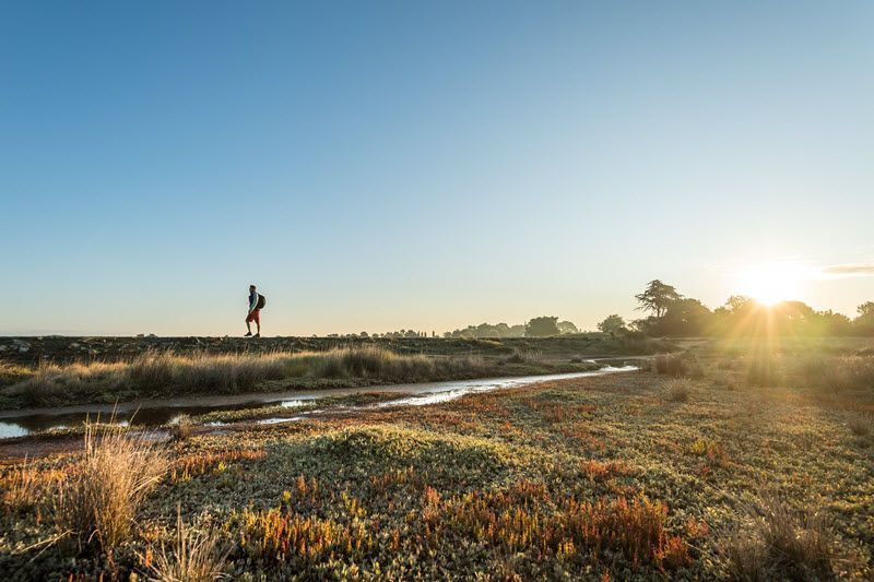 Hiking Between Carnac And La Trinité Sur Mer The Marsh Circuit
